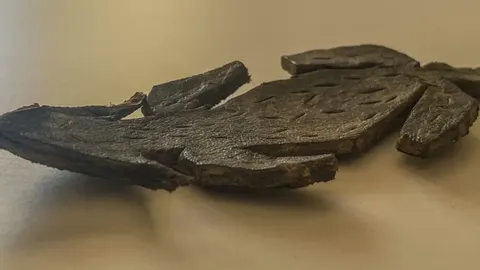 Шкіряна мишка з римського форту: іграшка чи давній жарт?