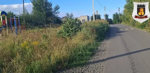 У Луцьку дитячий майданчик заріс травою: як вирішили проблему
