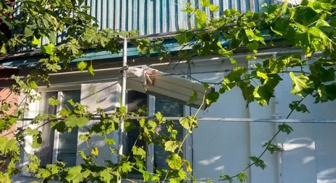 У Херсоні боєприпас від дрона впав у дитяче ліжко: малюк не постраждав
