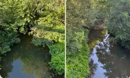 Брусниця: річка дитинства Івана Миколайчука та що подивитись родині