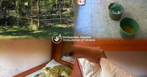 Пліснява, гнилі продукти і 12 дітей у кімнаті: що знайшли в «Артеку» на Закарпатті