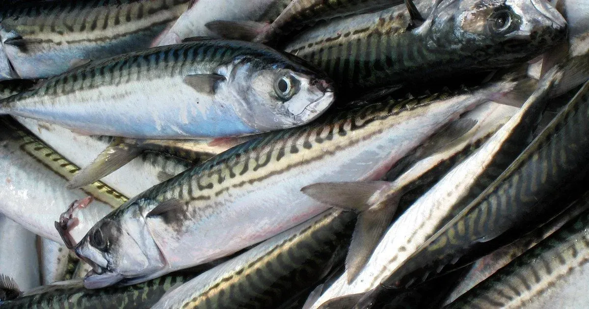 7 продуктів із магнієм, які варто додати в родинний раціон