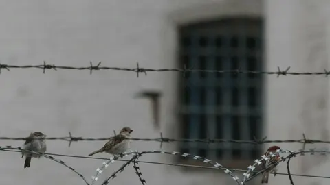 У Києві засудили чоловіка за насильство над синами співмешканки: що важливо знат