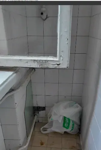 Перевірка табору в Пущі-Водиці: що знайшли монітори та як діяти батькам