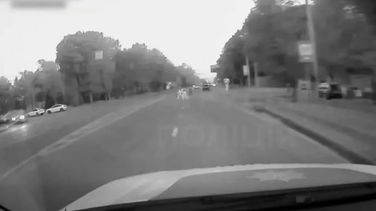 У Львові батьки перебігали 6-смугову дорогу з дітьми: штраф обом