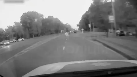 У Львові батьки перебігали 6-смугову дорогу з дітьми: штраф обом