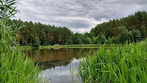 Купання в річці чи озері: про що варто знати родинам
