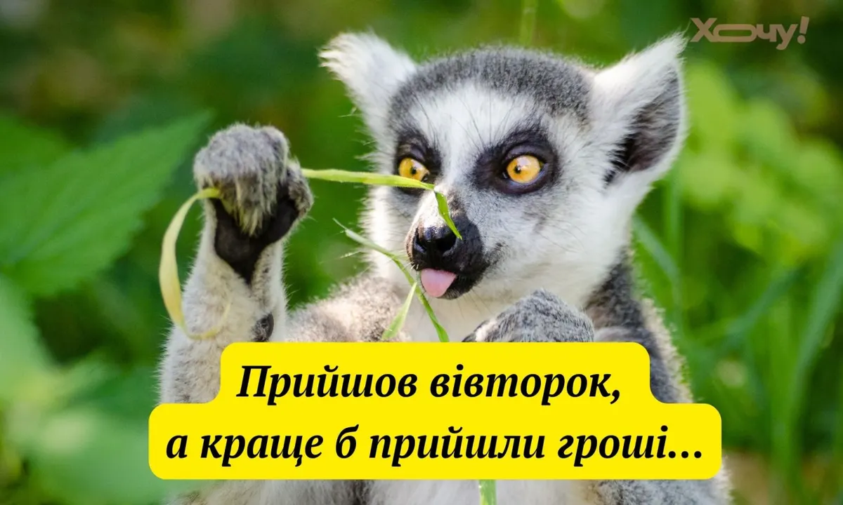 Вівторок — не вирок: як гумор рятує від робочого вигорання